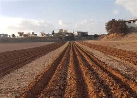 prepared land for agriculture figgerits